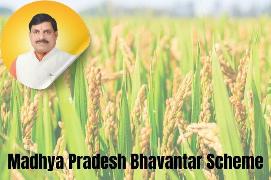 Madhya Pradesh Bhavantar Scheme for Soybean Farmers Launched